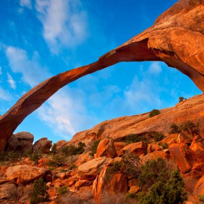 Voyage aux Etats-Unis : La Californie et Les Grands Parcs